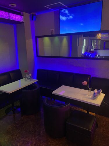 初夢はみましたか？